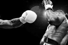 BoxingTouchup_m.jpg